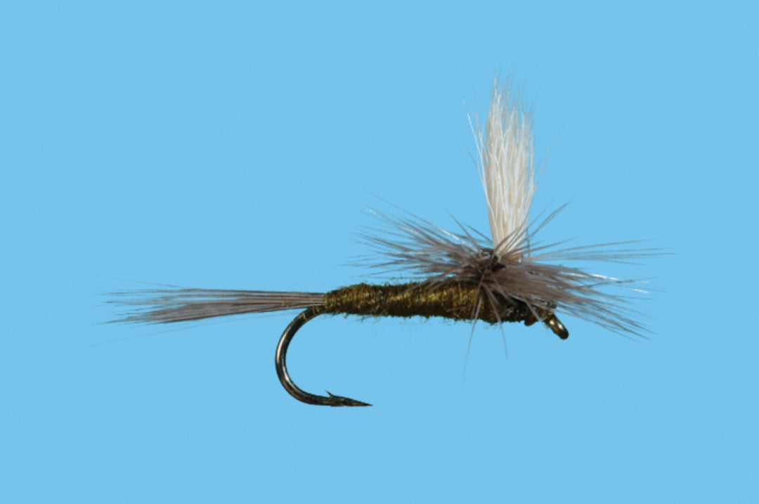Solitude Blue Wing Olive