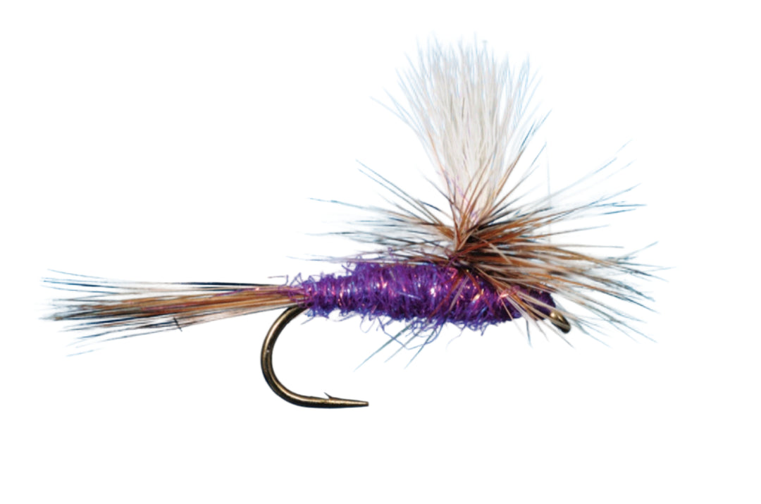 Solitude Parachute Adams