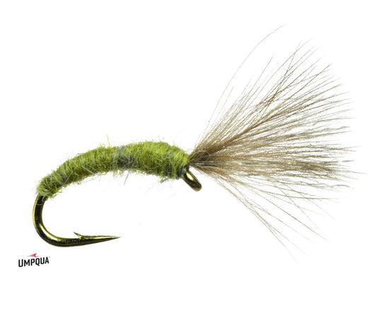Umpqua Mole Fly