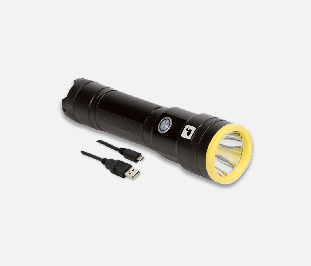 Loon UV Plasma Light