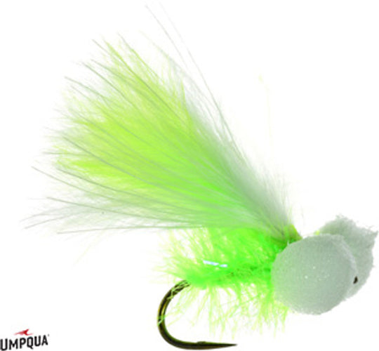 Umpqua Sexton's Booby
