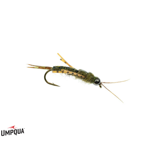 Umpqua Tungsten Skwala Stone