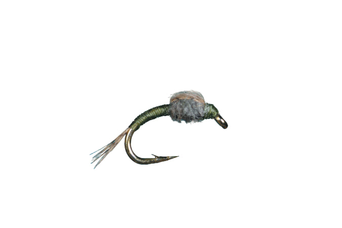 Solitude WD-40 Olive / 20