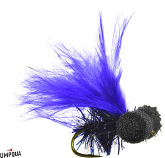 Umpqua Sexton's Booby