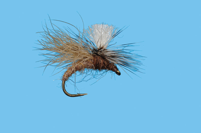 Solitude Snow Shoe Caddis