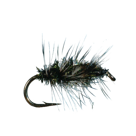 Solitude Griffith Gnat