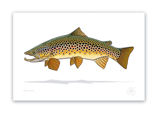 Casey Underwood Prints (8x12")