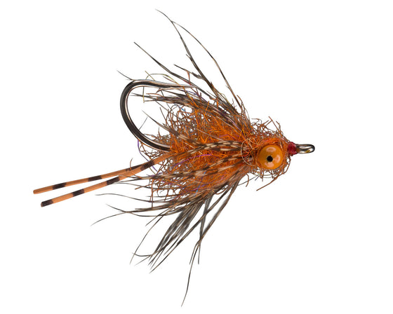 Rio's Carp Crack