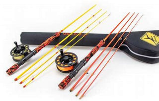 Echo Gecko Fly Kit