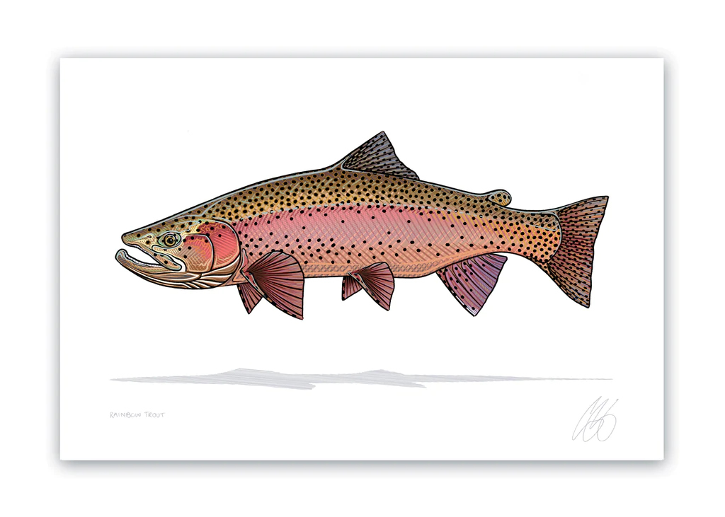 Casey Underwood Prints (8x12")