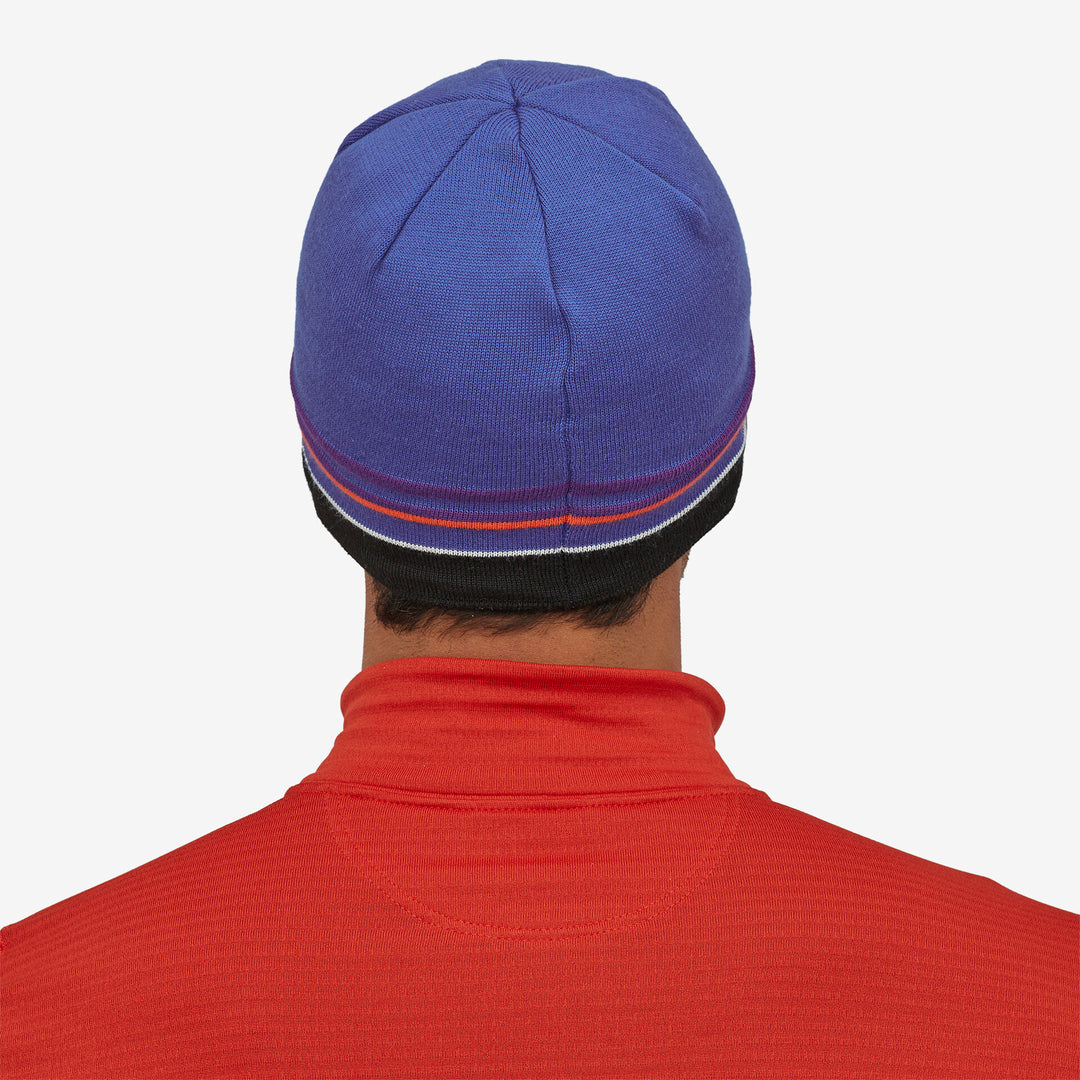 Patagonia Mens Beanie Hat