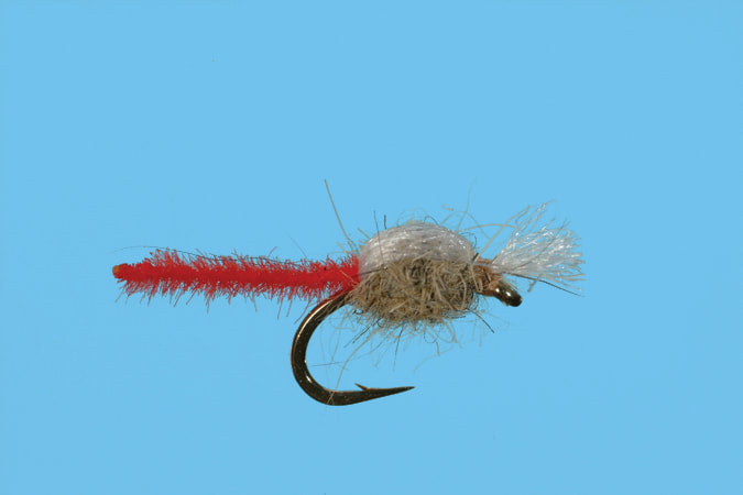 Solitude Palamino Midge