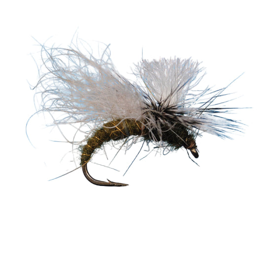 Solitude Snow Shoe Caddis