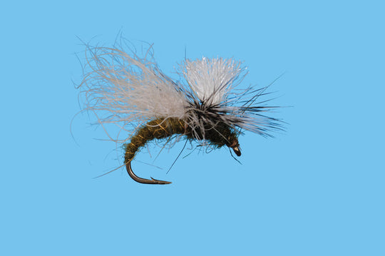 Solitude Snow Shoe Caddis