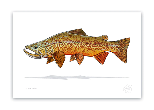 Casey Underwood Prints (8x12")