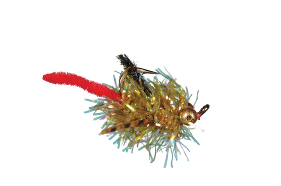 Solitude Carpilicious