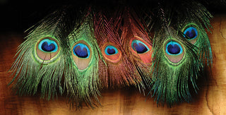 Hareline Peacock Eye